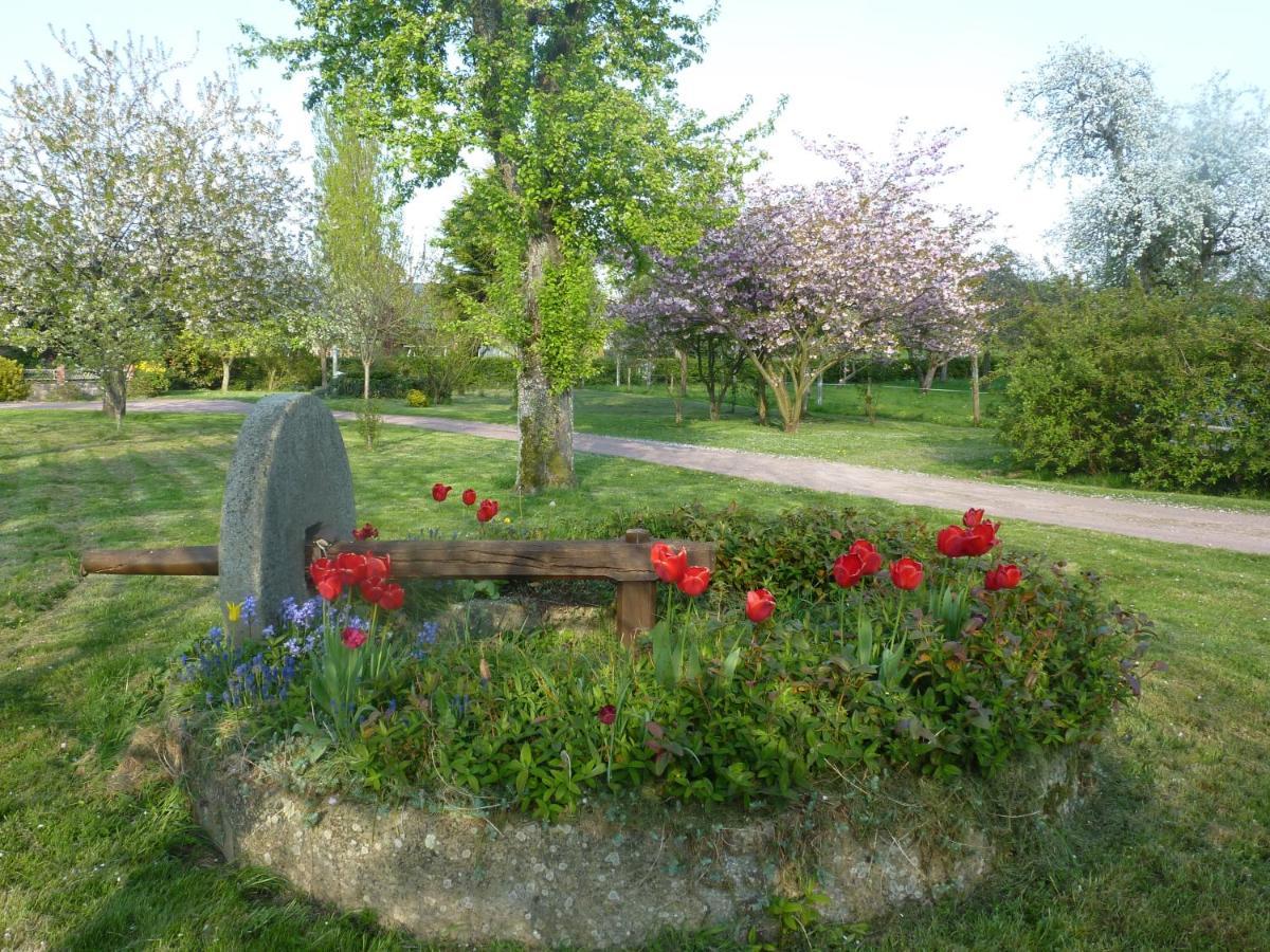 Domaine De L'Etre Bed & Breakfast Saint-Pierre-du-Regard Bagian luar foto